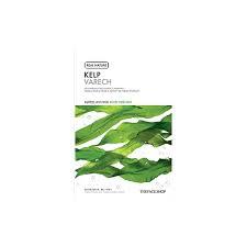 The Face Shop REAL NATURE Face Mask Kelp (20ml)